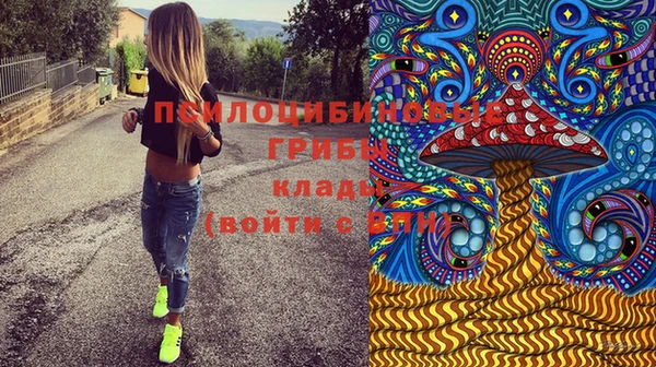 гашик Арсеньев