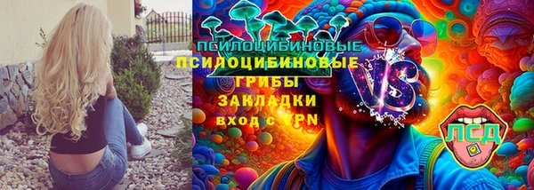 гашик Арсеньев
