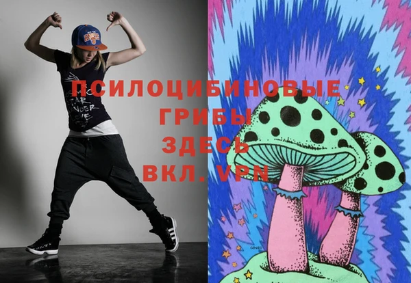 крисы Аркадак